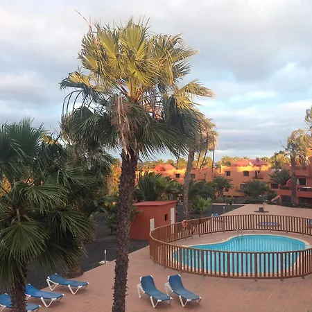 Oasis Royal
